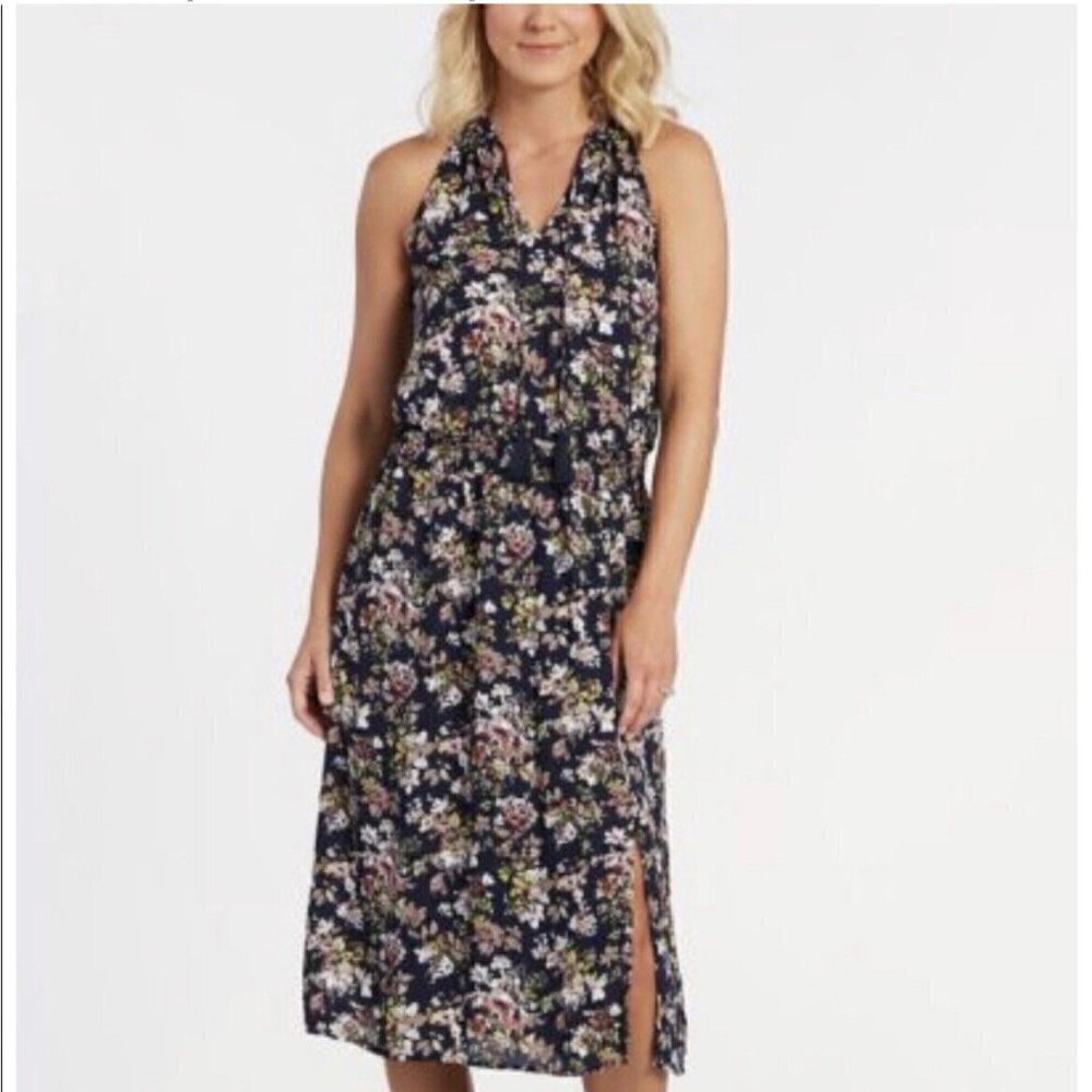 Allison Joy Floral Evereve Corbin Midi Dress S Blue Pink Sleeveless A-line